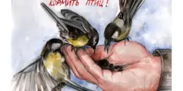 Экологическая акция "Поддержим птиц!"